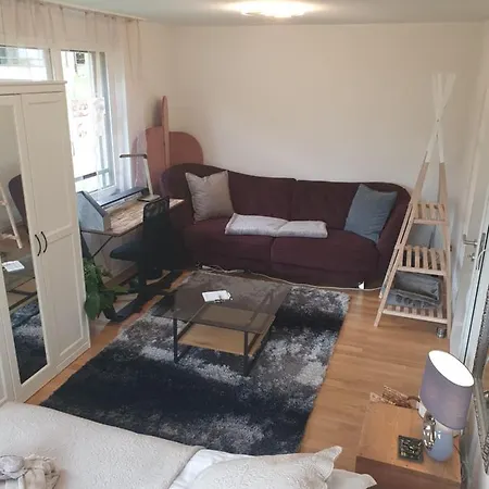 Wonderful View Of Geneva Habitación en casa particular